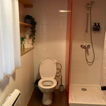 Appartamento Parenthèse Alsacienne Schiltigheim Esterno foto